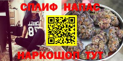 амф Славгород